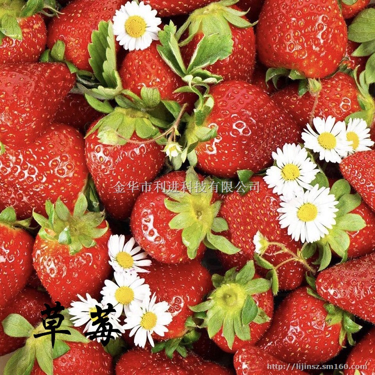 供应微胶囊感香粉、香味粉、香精胶囊粉