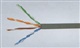 供应安普五类双绞线
