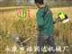 松岛牌小型水稻收割机