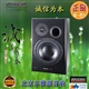 Dynaudio丹拿BM15A有源监听音箱