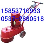 DMS250型水磨石机 水磨石机型号 高品质水磨石