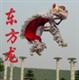 深圳市舞狮队