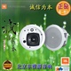JBLControl24CT吸顶扬声器