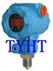 TT800数显一体化温度变送器