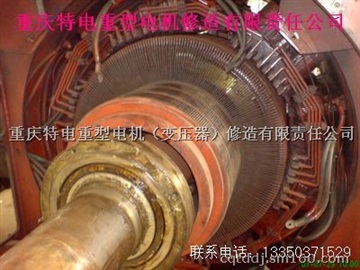 重庆电机厂专业修理大型10000V高压电动机