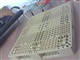 潮州塑胶二手卡板    福建塑胶二手卡板