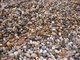 鹅卵石滤料相关质量标准