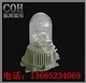 NFC9180 防眩泛光灯 又名防眩顶灯,电厂灯