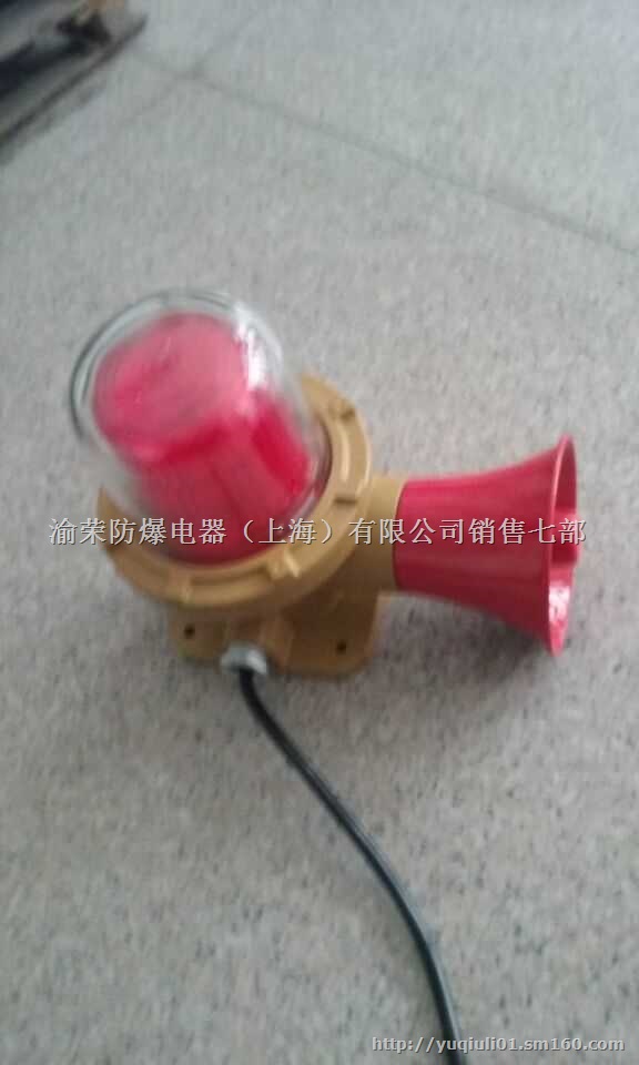 BBJ防爆声光报警器