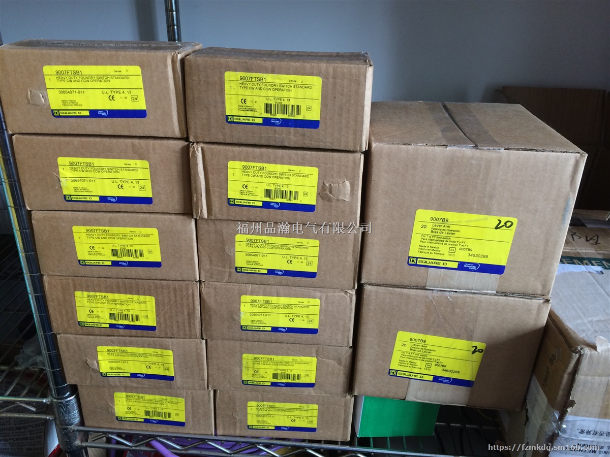 FTSB1+B9限位开关Square-D