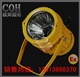 BTC8200防爆投光灯