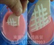 水性泼水剂水性防釉剂阻水剂