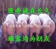 洪海林*今日江苏海天猪业行情信息咨询中心