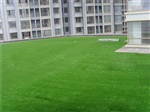 人工草坪 青岛人造草坪厂家 人造草皮价格