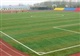 供应青岛人造草坪足球场价格