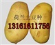 甘肃优质高产耐寒耐旱土豆种子基地培育的优质土豆种子