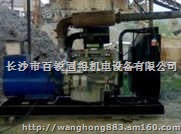 湖南柴油发电机出租长沙发电机出租湘潭发电机出租