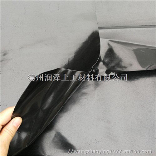 山西鱼塘护坡防渗膜生产厂家