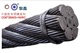天津打桩用钢丝绳生产商www.nthxgs.com