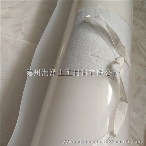 河北隧道吊带防水板价格