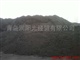 供应国产山东高硫低灰弹丸焦