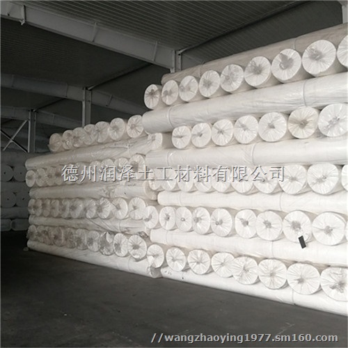 湖南铁路路基隔离层聚酯无纺土工布