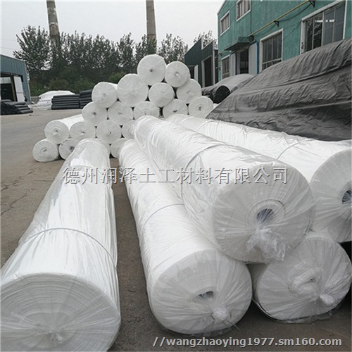 湖南铁路路基隔离层聚酯无纺土工布