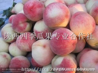 陕西毛桃基地，毛桃批发，毛桃产地价格