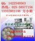 技术一流卧式出面全自动包子馒头机