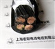 上海移动 拖链电缆，带端子线缆，拖链电缆批发