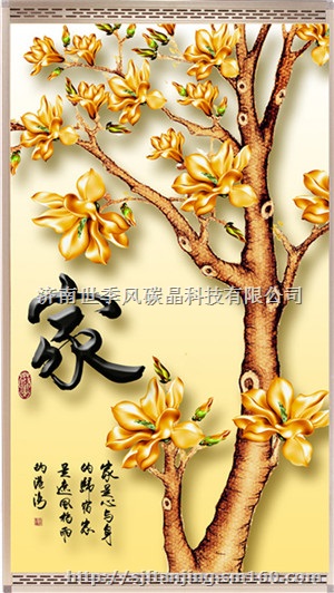 山东碳晶电暖器厂家，碳晶电暖器招商批发价格