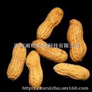 干花生返鲜技术/济南名吃水煮花生/花生返鲜