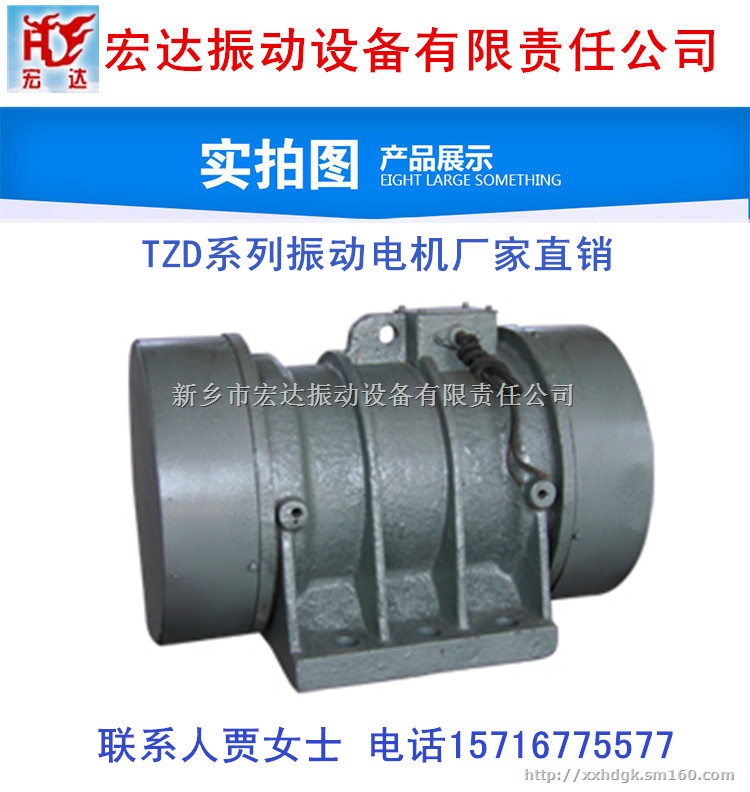 供应宏大TZD卧式振动电机 TZD技术咨询