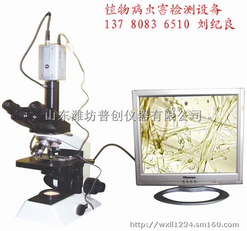 植物病虫害检测设备,病虫害检测仪