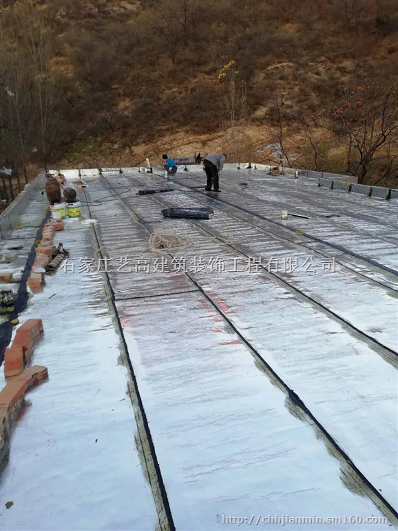 石家庄防水施工 防水材料 抗漏神防水堵漏