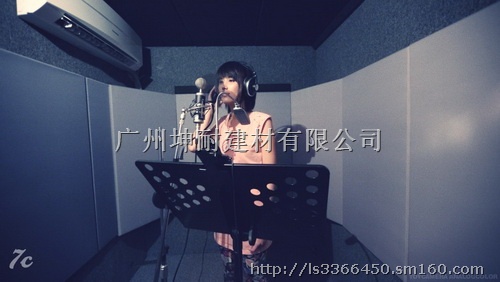 广东琴房布艺吸音软包