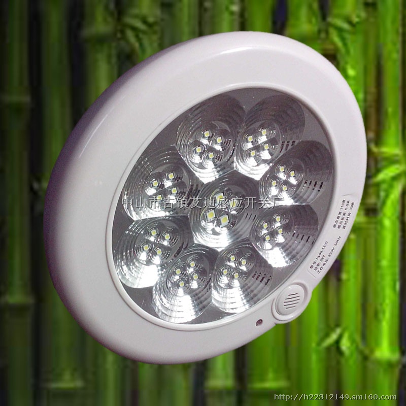 带消防应急吸顶灯/LED声控带电池应急灯/带强启功