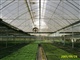 双层薄膜温室