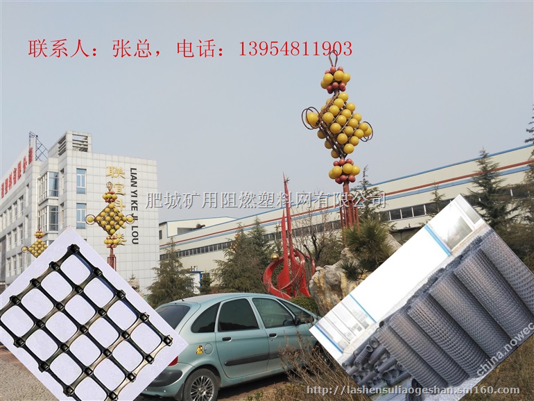 双抗塑料拉伸网通过国家有关部门检测合格,大量供应