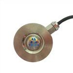 压力传感器原理 500KG