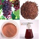葡萄籽提取物、Grape Seed Extract