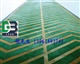 姜堰止滑坡道施工方法，芜湖环氧砂浆地坪施工价格