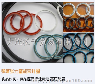 泵阀密封圈