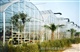 对称拱型--PC板连栋温室 蔬菜大棚 花卉种植 温