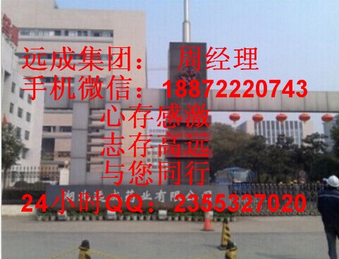 茶皂素cas年产项目