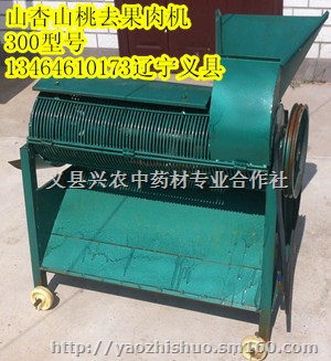 山杏,山桃,樱桃,去皮机脱皮机脱果肉机