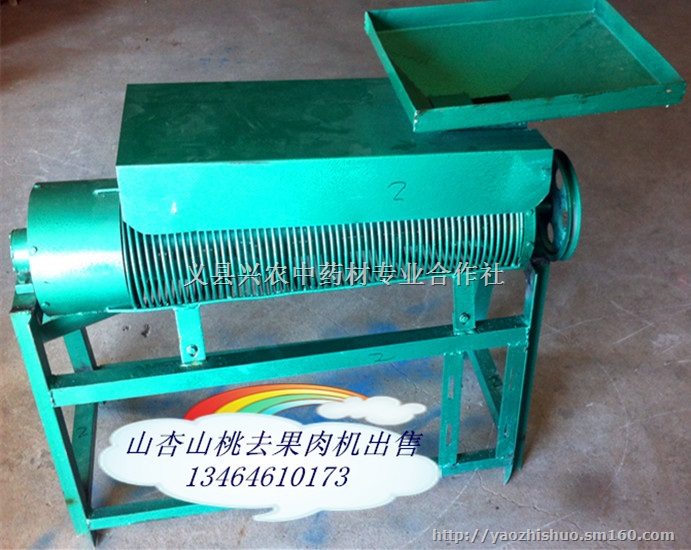 山杏,山桃,樱桃,去皮机脱皮机脱果肉机