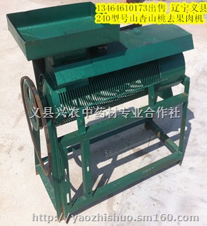 山杏，山桃，樱桃，去皮机脱皮机脱果肉机