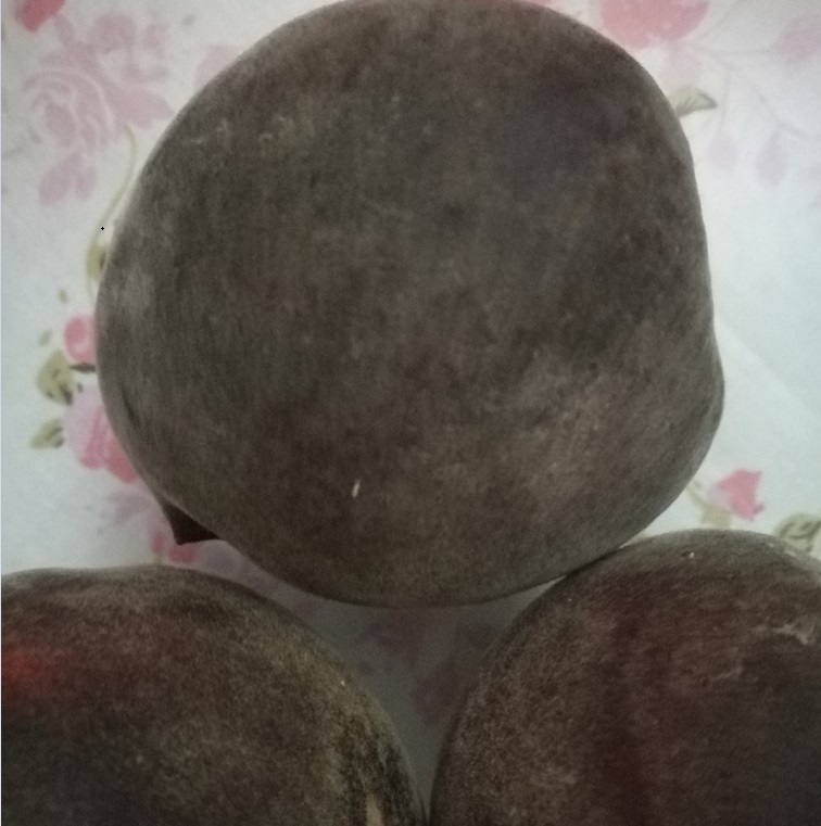 桃树新品种 黑桃苗 黑桃品种介绍