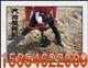 设计新颖的内燃地钻，内燃挖坑机，植树机，种树用挖坑